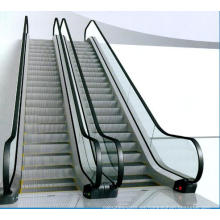 Escalera mecánica para servicio pesado Precio China